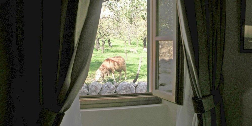 S'Hort De Cas Misser Boutique Hotel (Adults Only) Σέλβα Εξωτερικό φωτογραφία
